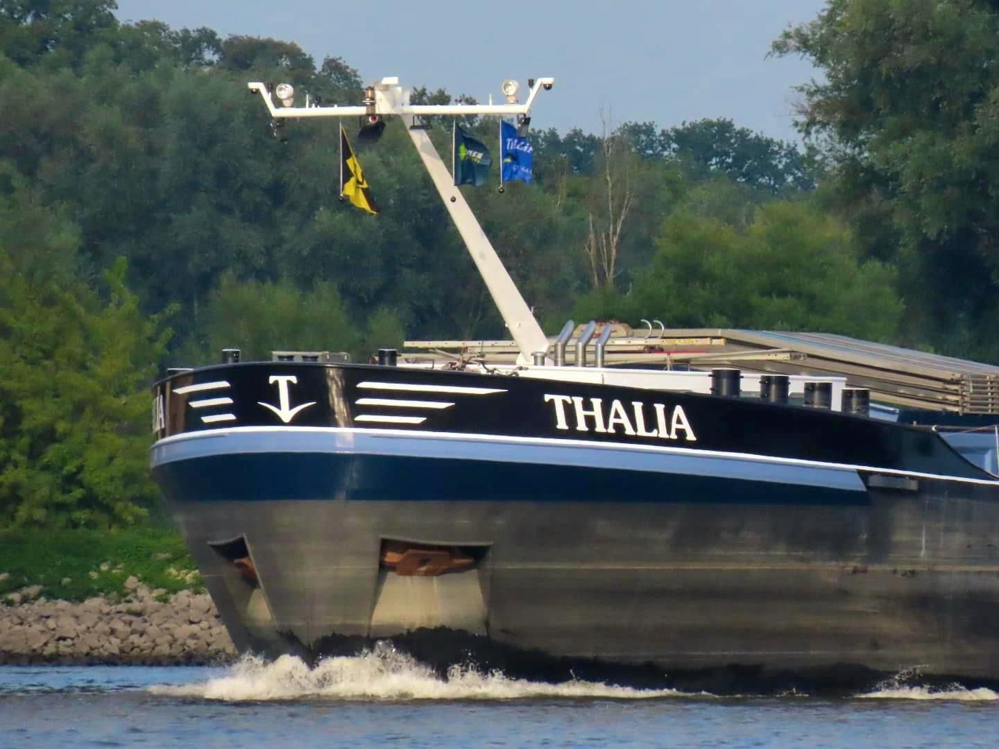 Thalia — thumbnail 3